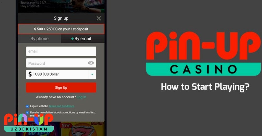 Kirish formasi PIN UP kirish formasi — telefon va email